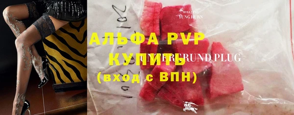 сатива Краснослободск