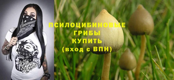 COCAINE Медвежьегорск